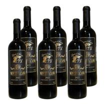 Kit 6 Vinhos Leone Di Venezia Montepulciano Tinto Brasil 750ml