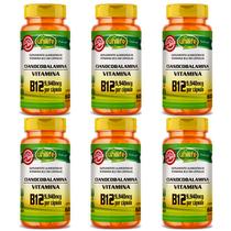 KIT 6 VITAMINA B12 CIANOCOBALAMINA 60 Cáps 450mg UNILIFE KIT 6 VITAMINA B12 CIANOCOBALAMINA 60 Cáps 450mg UNILIFE