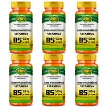 KIT 6 VITAMINA B5 ÁCIDO PANTOTÊNICO - 60 Cápsulas 500mg UNILIFE KIT 6 VITAMINA B5 ÁCIDO PANTOTÊNICO - 60 Cápsulas 500mg UNILIFE