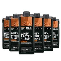 Kit 6 Whey Protein Shake