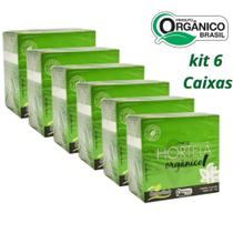 KIT 6CX Chá Hortelã 60 sachês Orgânico Campo Verde