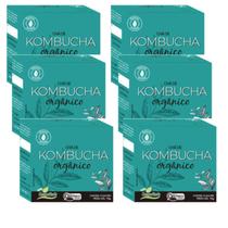 Kit 6cx Chá Kombucha Orgânico Chá Verde, Hortelã e Mate - Imunidade - (60 sachês)