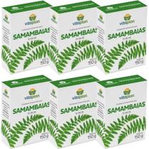 Kit 6x Adubo Fertilizante Mineral p/ Samambaias c/ 150g VITAPLAN