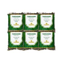 Kit 6x Chá Pacote Tansagem 30g - CHAMEL Kit 6x Chá Pacote Tansagem 30g - CHAMEL