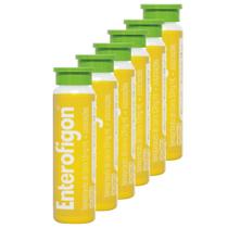 Kit 6X Enterofigon Flaconete Sabor Abacaxi 10ml
