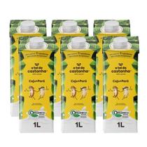 Kit 6X: Leite Vegetal Caju + Pará A Tal Da Castanha 1L Kit 6X: Leite Vegetal Caju + Pará A Tal Da Castanha 1L