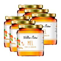 Kit 6X: Mel De Laranjeira Villa Piva 300G Kit 6X: Mel De Laranjeira Villa Piva 300G
