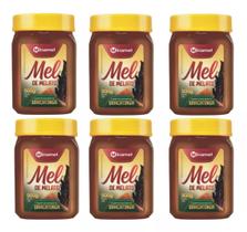 Kit 6x Mel Puro Da Bracatinga 500g - Medicinal - Minamel