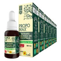 Kit 6x Propomax Extrato Aquoso de Própolis Verde 11% 30ml - Apis Flora