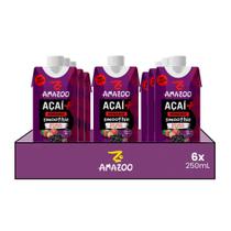 Kit 6x Smoothie de Açaí Morango Zero Amazoo 250ml