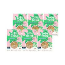 Kit 6X: Sopa Detox Sem Glúten Holysoup 130G