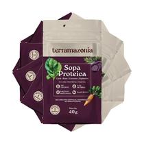 Kit 6X: Sopa Proteica Sachê Terria 40G