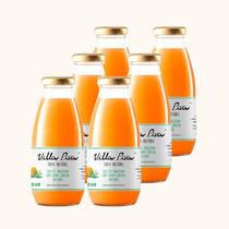 Kit 6X: Suco de Tangerina com Capim Cidreira Sem Açúcar Villa Piva 300ml Kit 6X: Suco de Tangerina com Capim Cidreira Sem Açúcar Villa Piva 300ml