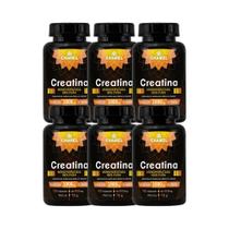 Kit 6x Suplemento Creatina 500mg 120 Cápsulas - CHAMEL