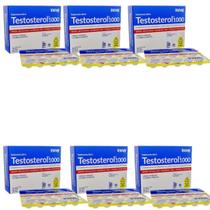 Kit 6x Suplemento Testosterol 1000 30 Comprimidos - Inove