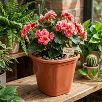 Kit 6x Vasos Plantas 900ml - Plástico Resistente Premium Terracota - Decoração para Jardim Kit 6x Vasos Plantas 900ml - Plástico Resistente Premium Terracota - Decoração para Jardim