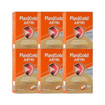 Kit 6x Vitamina Flexigold Artri 60 cps - HERBAMED