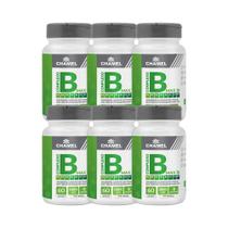 Kit 6x Vitamina Max Complexo B 60 Cps - CHAMEL Kit 6x Vitamina Max Complexo B 60 Cps - CHAMEL