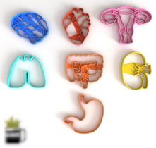 Kit 7 Cortador Órgãos do Corpo Medindo 6CM Cada Kit 7 Cortador Órgãos do Corpo Medindo 6CM Cada