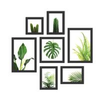 Kit 7 Quadros Decorativos Folhas Da Natureza
