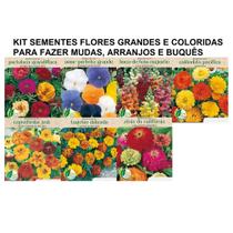 Kit 7 Sementes Flores Ornamentais Coloridas Grandes Para Vasos Canteiros Jardim Buque Coroas