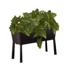 Kit 8 Hastes De Folhas Caladium Artificial Para Paisagismo Interno