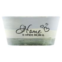 Kit 8 Mini Vasos De Planta Cachepot Estampados Decorados 9cm