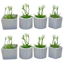 Kit 8 Vasinhos Decoração com Plantinhas