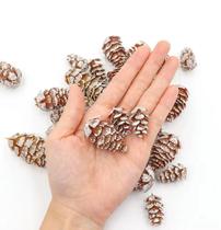 Kit 9 Mini Pinha Nevada Natural Seca Decorativas Artesanato Kit 9 Mini Pinha Nevada Natural Seca Decorativas Artesanato