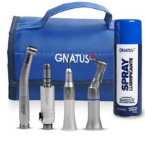 Kit Acadêmico Odontológico Plus Gnatus Kit Acadêmico Odontológico Plus Gnatus