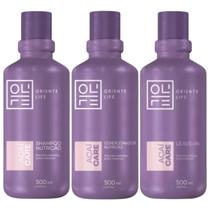 Kit Açaí Care 1 Shampoo 1 Condicionador 1 Leave In 500ml Oriente Life
