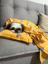 Kit Aconchego Pet Manta com Travesseiro