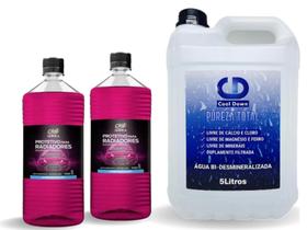 Kit Aditivo Radiador Concentrado Rosa 5lt Agua Pureza Total