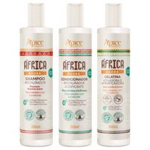 Kit África Baobá Shampoo + Condicionador + Gelatina Restaurador Vegano Cabelos Com Curvatura Apse