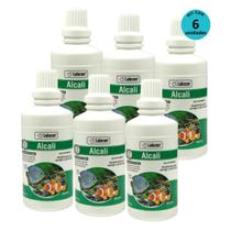 Kit Alcon Labcon Alcali 100ml com 6 unidades