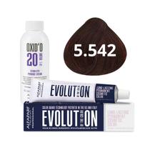Kit Alfaparf Evolution Of The Color 5.542 Castanho Claro Acaju Cobre Irisé 60ml + OX 20V 90ml Kit Alfaparf Evolution Of The Color 5.542 Castanho Claro Acaju Cobre Irisé 60ml + OX 20V 90ml