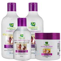 Kit Alho Desodorizado Hábito 4pçs Kit Alho Desodorizado Hábito 4pçs