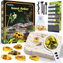 Kit Amber Dig Gobidex Amber com 6 espécimes de insetos para crianças de 6 a 12 anos