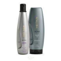Kit Aneethun Blond System Shampoo Matizante e Máscara Cinza Kit Aneethun Blond System Shampoo Matizante e Máscara Cinza