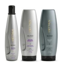 Kit Aneethun Blond System Shampoo Matizante + Máscara Matizante + Máscara Cinza