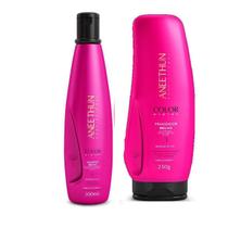 Kit Aneethun Color Shampoo300ml e Finalizador250gr