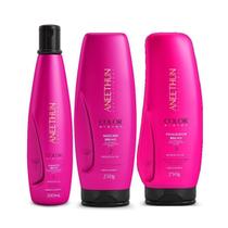 Kit Aneethun Color Shampoo300ml Máscara250gr e Finalizador250gr