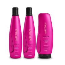 Kit Aneethun Color System - Shampoo 300ml (2 Un) + Finalizador 250g (1 Un)