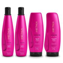 Kit Aneethun Color System - Shampoo 300ml (2Un) + Máscara 250g + Finalizador 250g