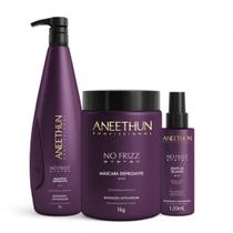 Kit Aneethun Defrizante Shampoo 1L+ Máscara 1kg+Leave in 120ml Kit Aneethun Defrizante Shampoo 1L+ Máscara 1kg+Leave in 120ml