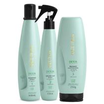 Kit Aneethun Detox System Shampoo, Balsamo e Loção