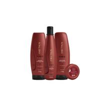 Kit Aneethun Force System Completo Shampoo + Máscara + Finalizador + Dose Concentrada