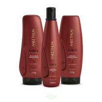 Kit Aneethun Force System Shampoo, Máscara E Finalizador