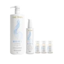 Kit Aneethun Hidra - Shampoo 1L + Finalizador 210ml + Ampolas 13ml (3Unidades)