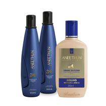 Kit Aneethun Linha A com 2 Shampoo 300ml + 1 Creme de Silicone 250ml Kit Aneethun Linha A com 2 Shampoo 300ml + 1 Creme de Silicone 250ml